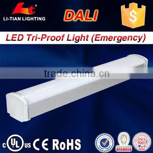 China Mini Led Light 50w Led Outdoor Lighting Samsung Chip1200m Led Tri-proof Light thumbnail-1
