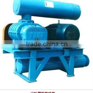 Roots Air Blower thumbnail-1