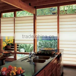 Dual Roller Shade Zebra Blinds thumbnail-1
