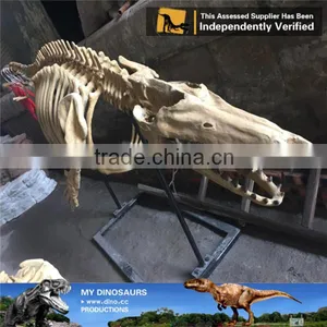 MY Dino-C078 Aquarium Life Size Fish Skeleton thumbnail-5