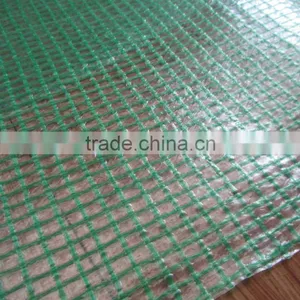 Waterproof PE Lona Tarp, Polyethylene Tarp for Constauction Tarpaulin Cover thumbnail-1
