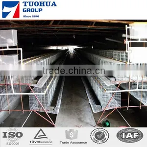 Chicken Poultry Layer Cage for Sale,layer Poultry Cages thumbnail-1