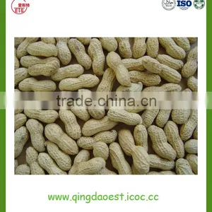 Peanut in Shell thumbnail-1