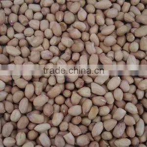 2014 New Crop Groundnut thumbnail-1