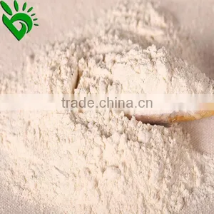Factory Garlic AD Powder thumbnail-1