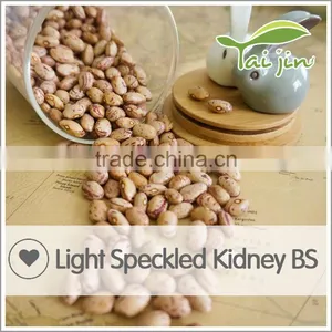 New Arrival Borlotti Bean Market Price thumbnail-4