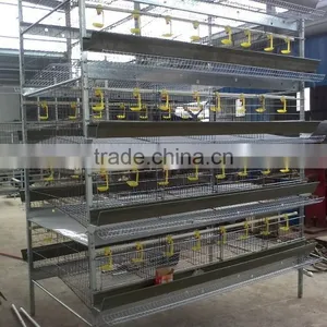 Hot Sale H Type(6-tier) Quail Cage thumbnail-4