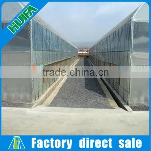 Agricultural Single-spansolar Lean to Greenhouse thumbnail-4