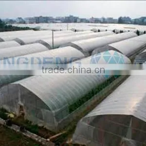 Single Span Film Tunnel Greenhouse thumbnail-1