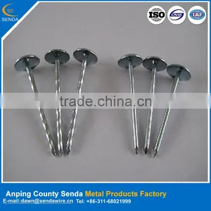 Galvanized Roofing Nails/ Construction Iron Nails thumbnail-1