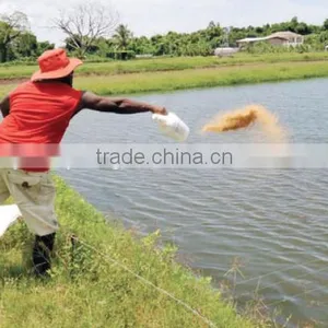 CE Certificate Best Seller Fish Feed Machine thumbnail-6