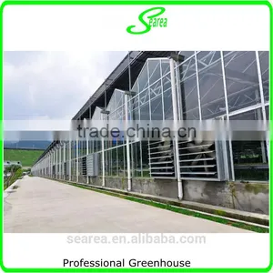 2014 Hot Sale Glass Greenhouse Used for Flower thumbnail-5