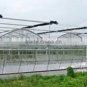 Balckout Greenhouse 0.08mm or 0.15mm PE Film Greenhouse Polythene Greenhouse thumbnail-2