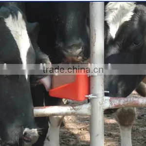 Cattle Licks Block thumbnail-1