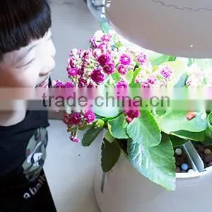 Plant Growth Light thumbnail-4