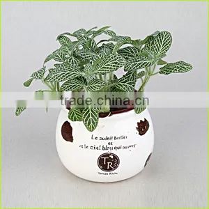 Plastic Flower Pot,colorful Plastic Flower Pots,custom Printed Flower Pots thumbnail-4