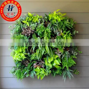 Greening Wall thumbnail-1