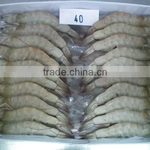HOSO Vannamei Shrimp.jpg thumbnail-1