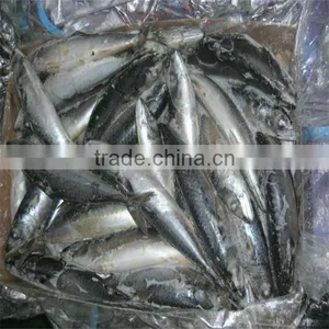 Sea Food Wholesale Fishing thumbnail-1