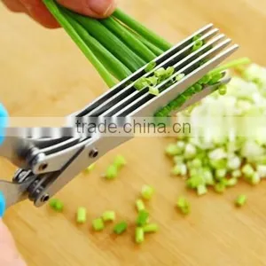 FDA Ceritfication Stainless Steel Chopped Green Onion 5 Blade Scissors thumbnail-2