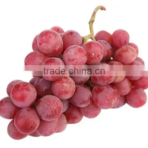 Sweet and High Quality Grapes thumbnail-1