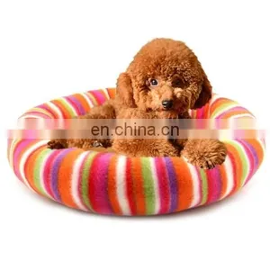 Indoor Pet Dog Puppy thumbnail-2
