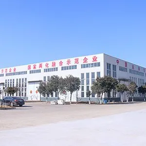 Shandong China Coal Industrial&Mining Supplies Group Co.,Ltd company overview - view 2 thumbnail