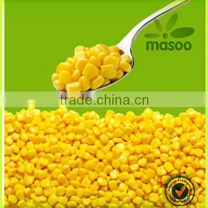 Corn, Sweet Corn, Canned Sweet Corn, China Origin, High Quality, Good Taste thumbnail-1