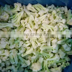 Manufacturer and Exporter of Vegetable IQF Frozen Cauliflower With Green Stem thumbnail-5