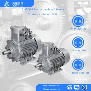 Siemens Motors of the 1LE0 Series Produced in China thumbnail-4