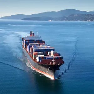 China to Saudi Arabia Sea Freight With Customs and Door Delivery thumbnail-1