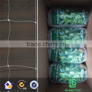 Export Standard Flower Support Net thumbnail-1