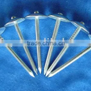 Galvanized Umbrella Roofing Nails Factory thumbnail-1