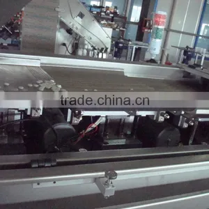 Highly Customizable Automatic Chew Gum Counting and Filling Machine thumbnail-5