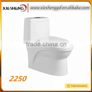 Dual Flush Ceramic Toilet Bowl wc Toilet Fish Tank Unit Bathroom Toilet Hidden Mini Camera thumbnail-1