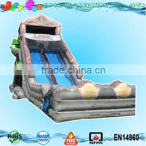 Giant Inflatable Double Lane Slide for Adult thumbnail-1