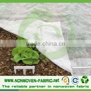 Spunbond 100% pp Nonwoven Fabric Non Woven Fabric Textile Agriculture Fabric thumbnail-4