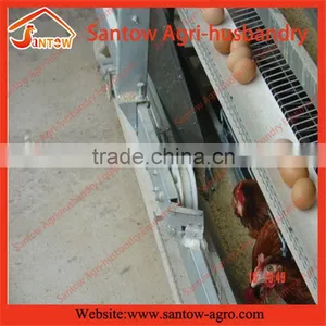 Stable Steel Structure Professional Chicken Egg Layer Cage Chicken Poultry Equipment thumbnail-1
