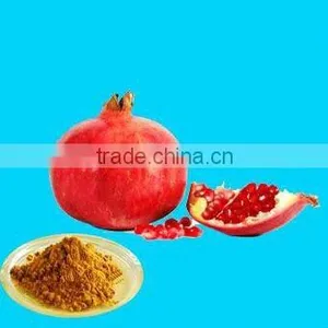 Pomegranate Extract With Ellagic Acid 40%HPLC thumbnail-1