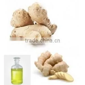 Natural Ginger Oil From Direct Factory thumbnail-1