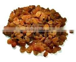 Raisin Dried Raisin High Quality Turkish Origin Turkish Manufacturer thumbnail-1