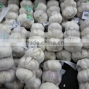 Cheap Wholesale Natural White Fresh Garlic Supplier thumbnail-2