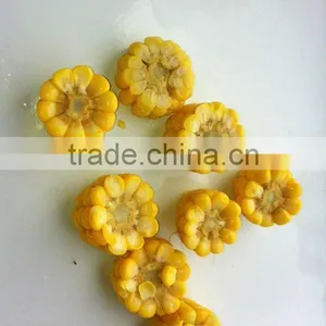 Sweet Corn Cut thumbnail-1