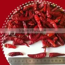 Spices Chinese Dry Red Hot Chilli Pepper 2013 Crop thumbnail-1