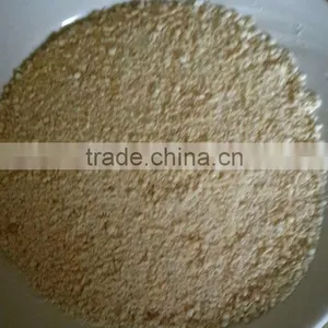 Gari thumbnail-1
