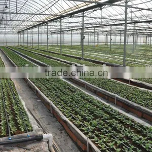 High Quality Agricultural And Hydroponic Irrigation LDPE Pipe thumbnail-5