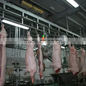 Hight Quality Pig Slaughter Equipment Line Pig Slaughter Machine Abattoir Equipment Butcher Equipment for Pig Slaughter House thumbnail-1