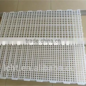 Most Popular Chicken Plastic Slat Floor thumbnail-3