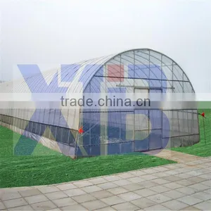 Double-layer Air Inflating Plastic Film Greenhouse thumbnail-1