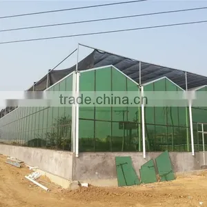 Galvanized Steel Frame Multi Span Agricultural Greenhouse for Sale thumbnail-3